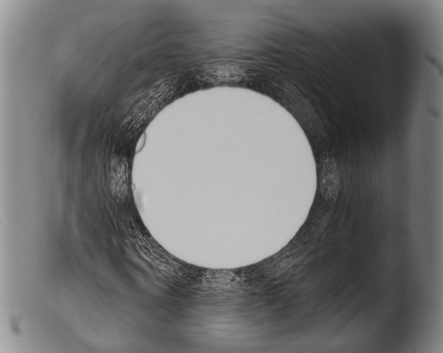 X0000103940866200810311523