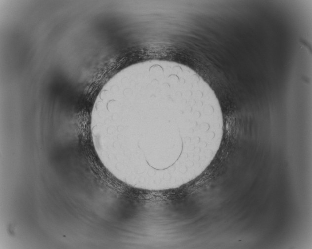 X0000103940867200810311523