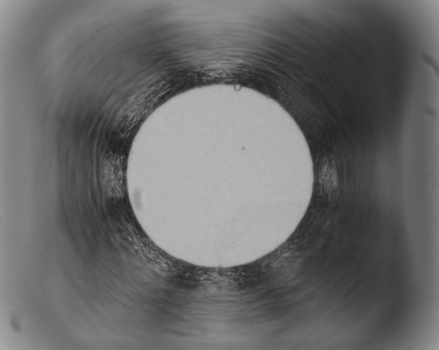 X0000103940868200810311523