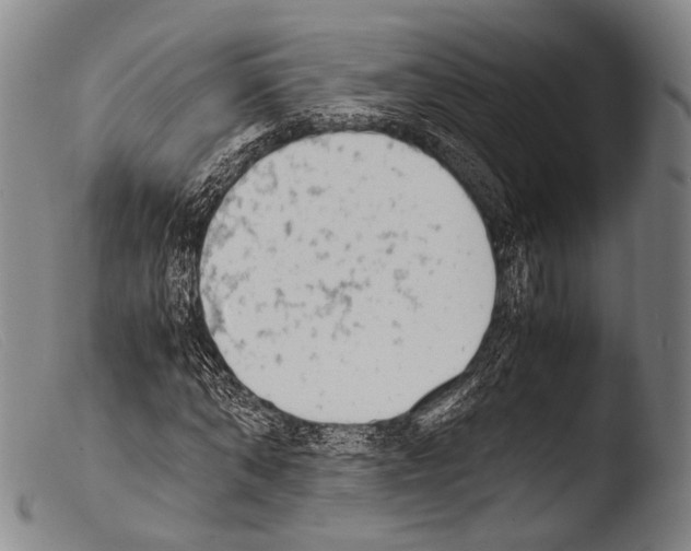 X0000103940870200810311523