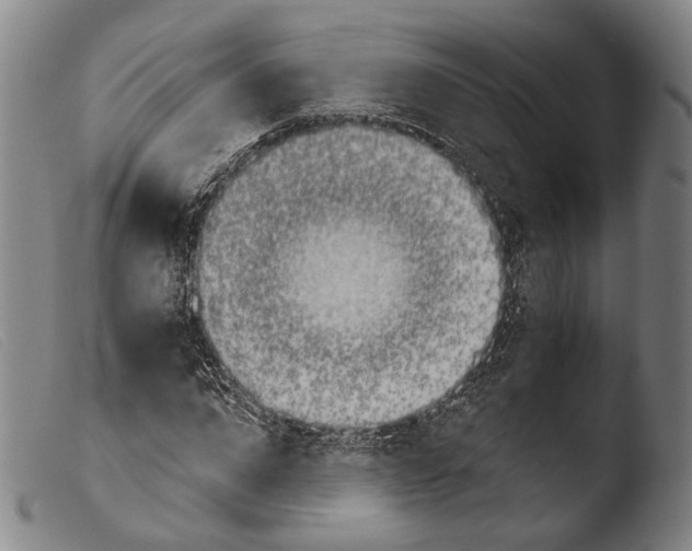 X0000103940872200810311523