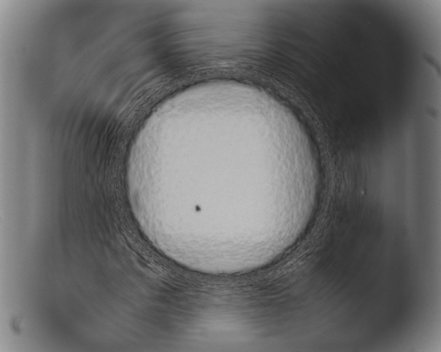 X0000103940873200810311523