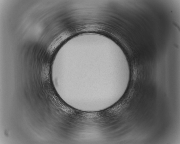 X0000103940874200810311523