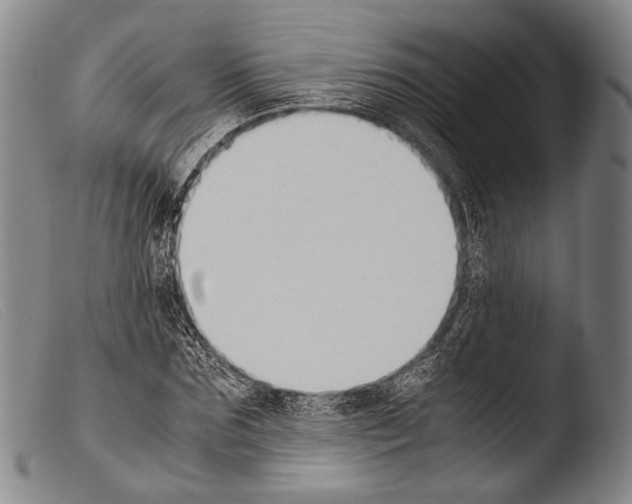 X0000103940875200810311523