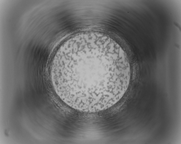 X0000103940876200810311523