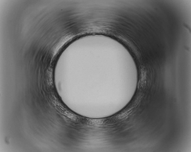 X0000103940878200810311523