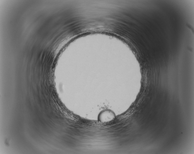 X0000103940879200810311523