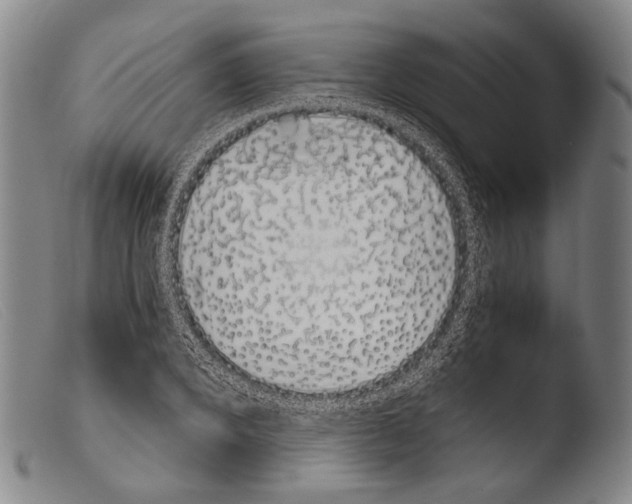 X0000103940880200810311523