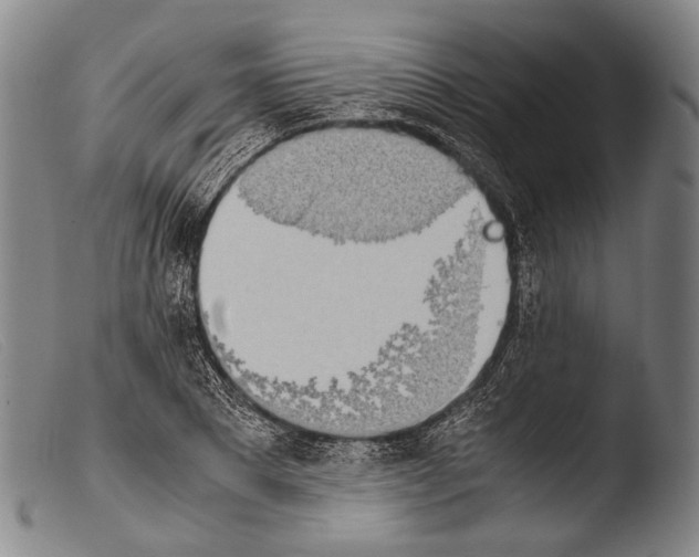 X0000103940881200810311523