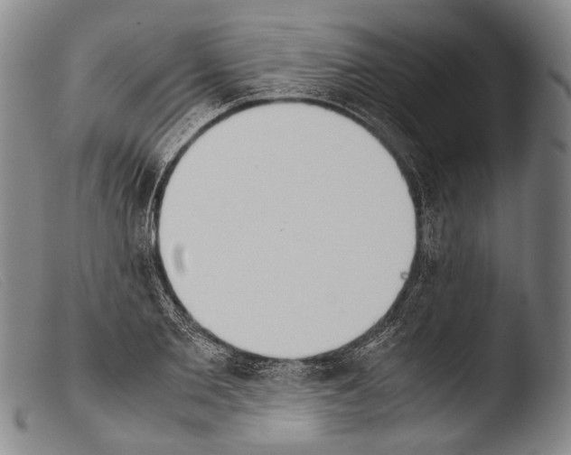 X0000103940885200810311523