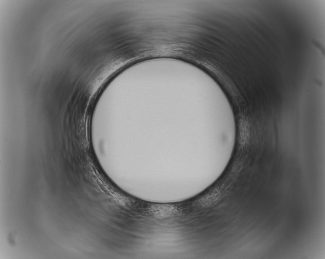 X0000103940886200810311523