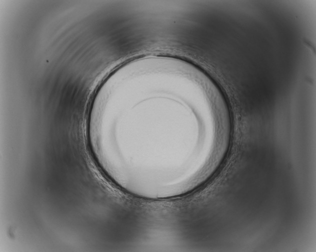 X0000103940888200810311523