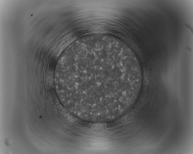 X0000103940889200810311523