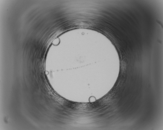 X0000103940891200810311523