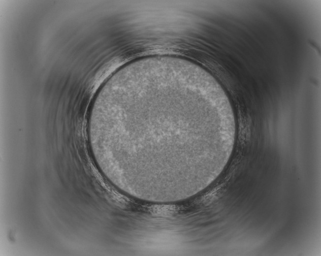 X0000103940893200810311523