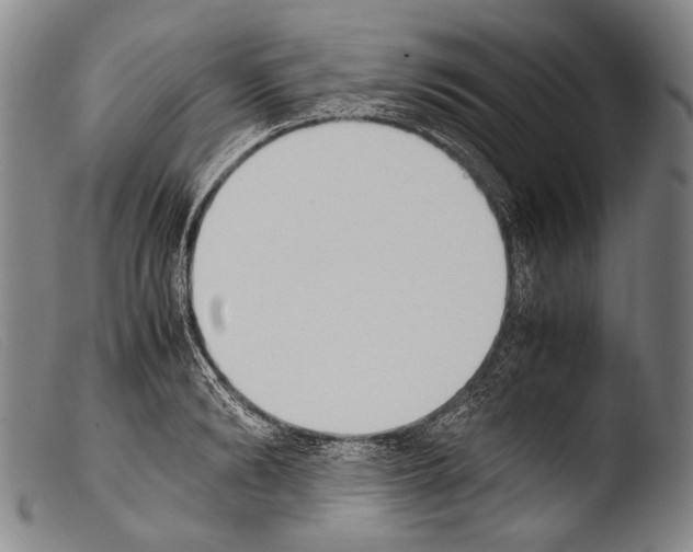 X0000103940894200810311523