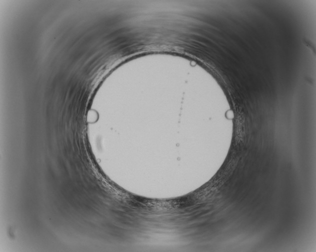 X0000103940895200810311523