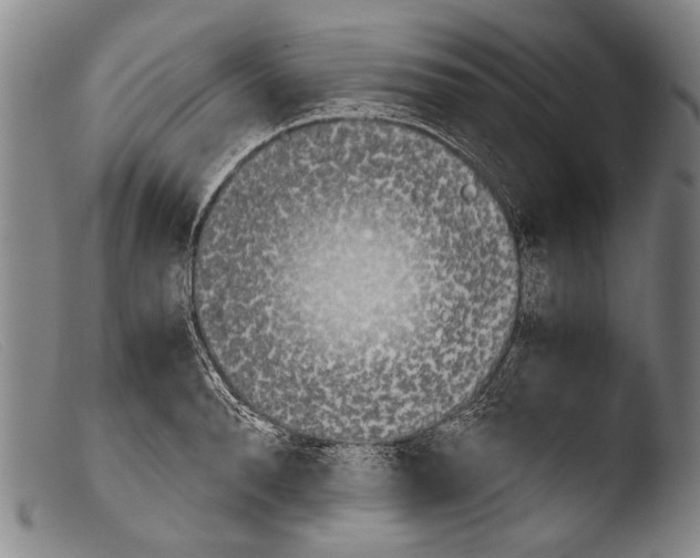 X0000103940896200810311523