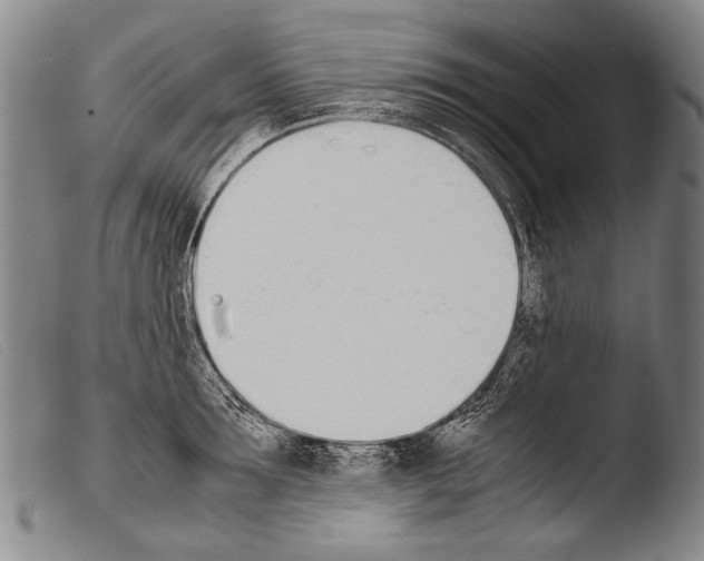 X0000103940899200810311523