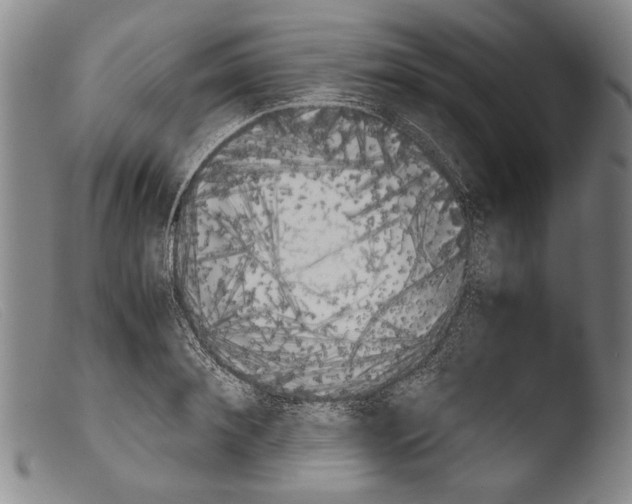 X0000103940900200810311523