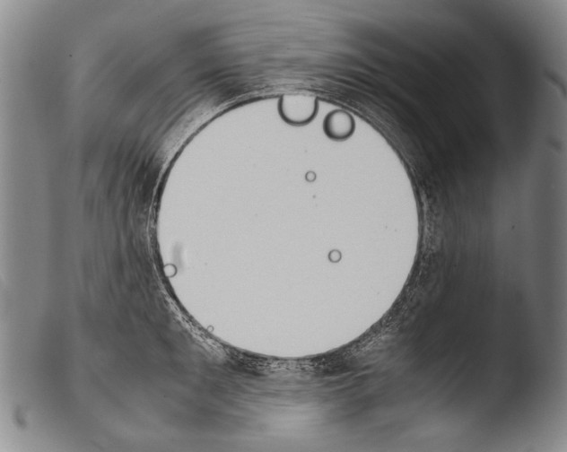 X0000103940901200810311523