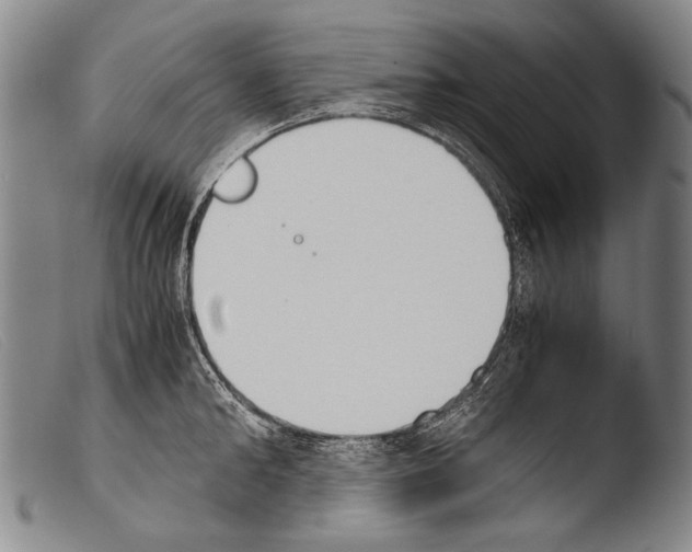 X0000103940902200810311523