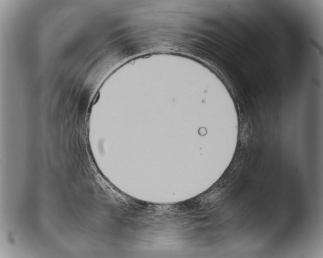 X0000103940903200810311523