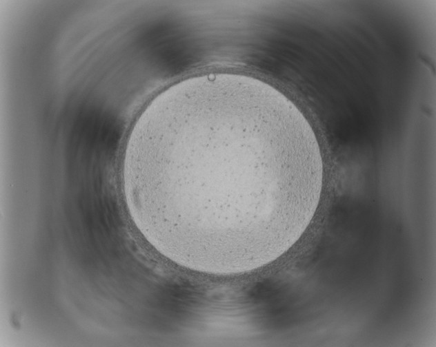 X0000103940904200810311523