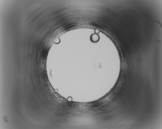 X0000103940905200810311523