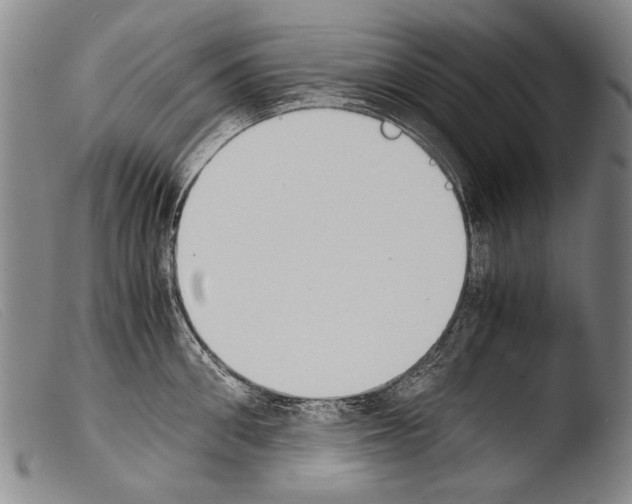 X0000103940906200810311523