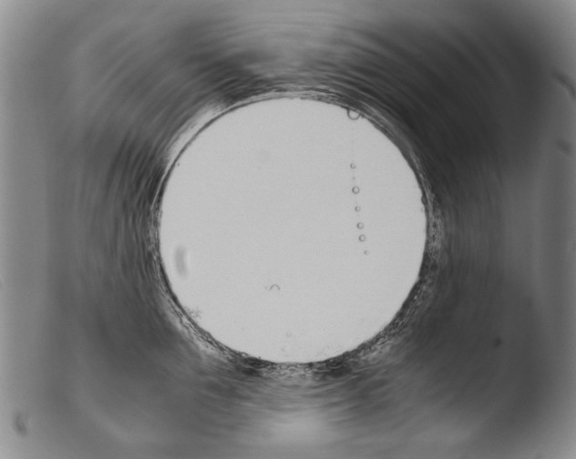 X0000103940907200810311523