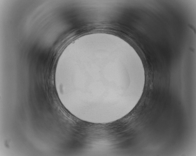 X0000103940908200810311523