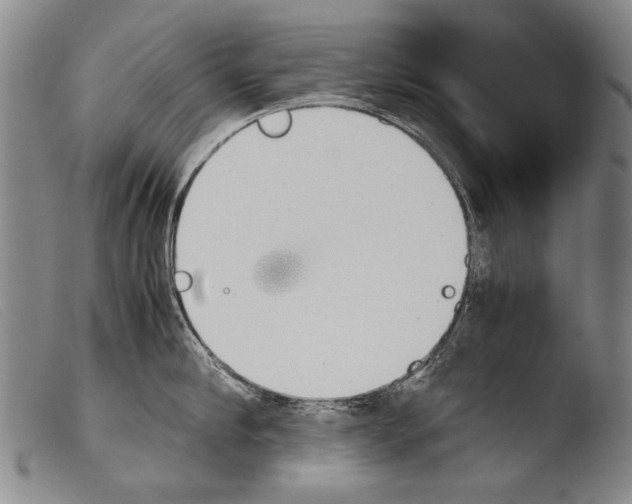 X0000103940910200810311523