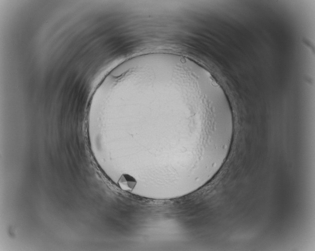 X0000103940912200810311523