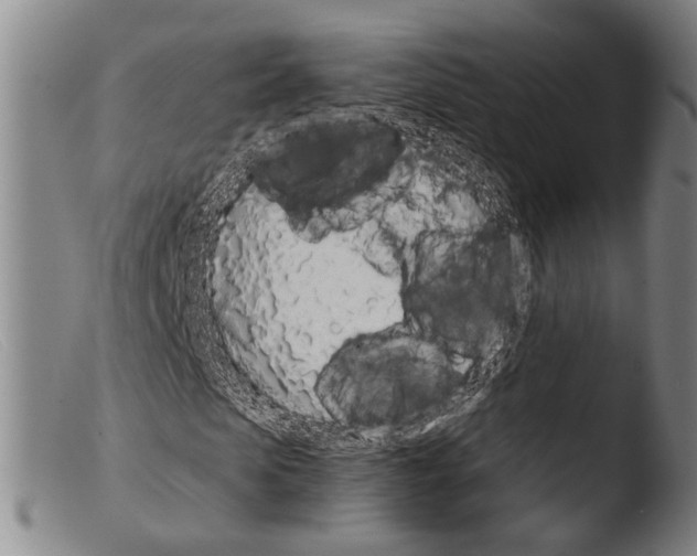 X0000103940913200810311522