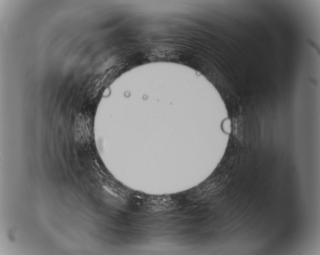 X0000103940915200810311522