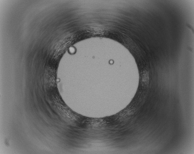 X0000103940916200810311522