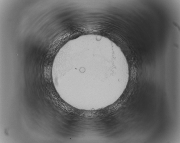 X0000103940917200810311522