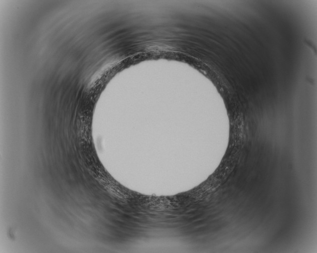 X0000103940919200810311522