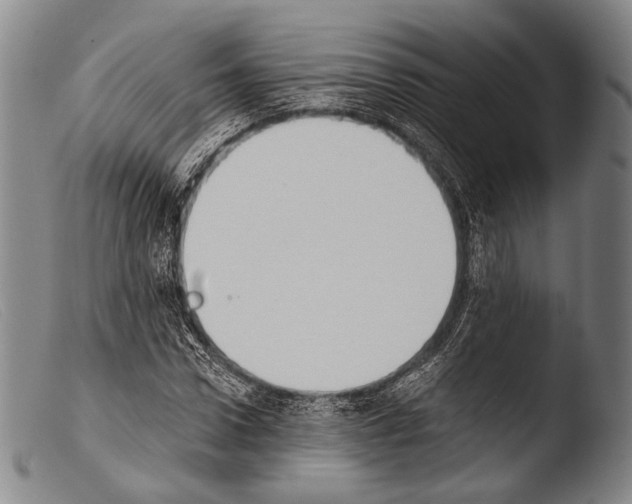 X0000103940922200810311522