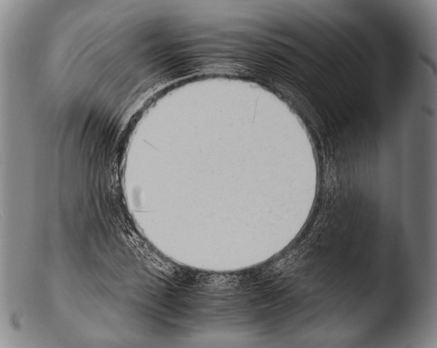 X0000103940923200810311522