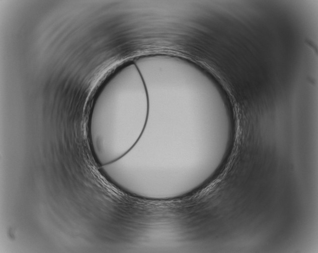 X0000103940924200810311522