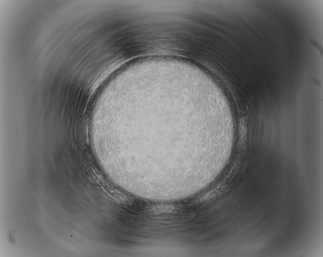 X0000103940925200810311522