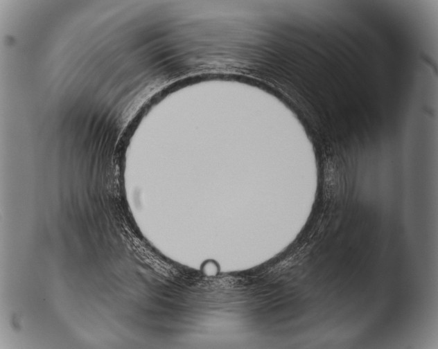 X0000103940926200810311522