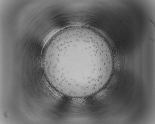 X0000103940927200810311522