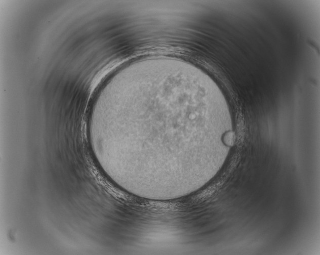 X0000103940928200810311522