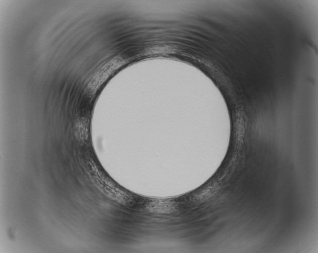 X0000103940929200810311522