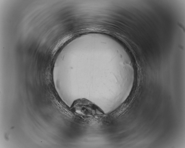 X0000103940930200810311522