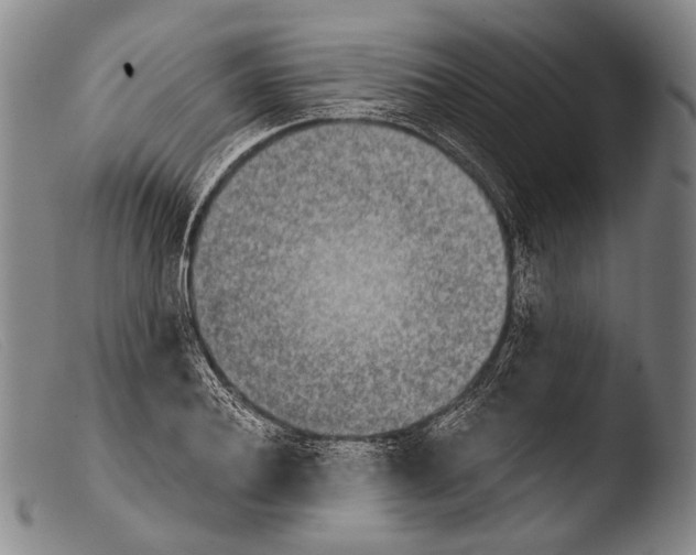 X0000103940932200810311522