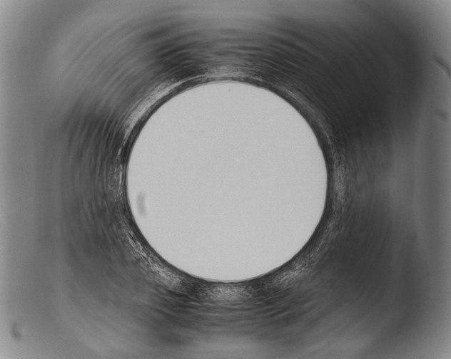 X0000103940933200810311522